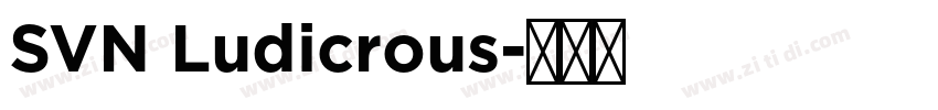SVN Ludicrous字体转换